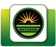 Matahari